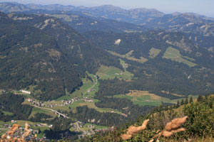 fellhorn